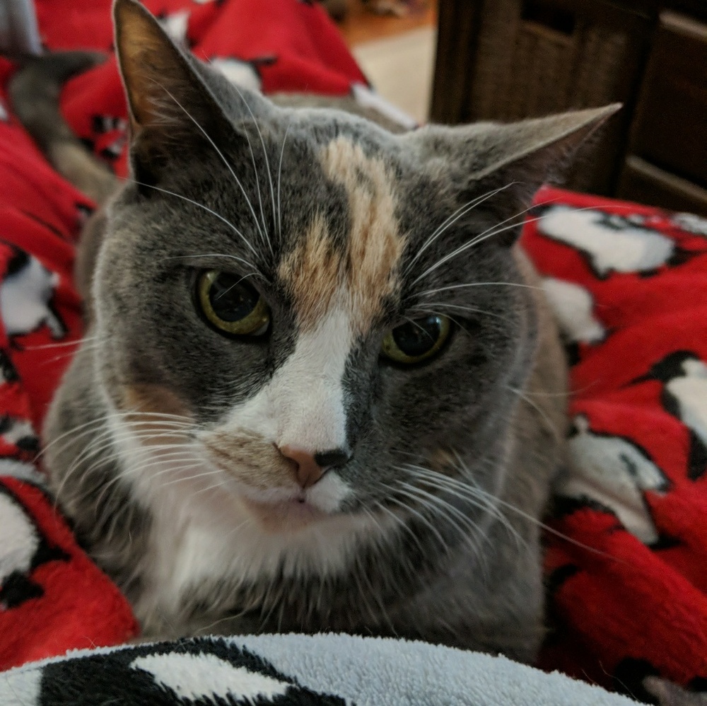 Meet your Posher, Erin